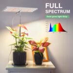 LORDEM Grow Light, Full Spectrum LED Plant Light for Indoor Plants, Height Adjustable Growing Lamp with Auto On/Off Timer 4H/8H/12H, 4 Dimmable Brightness, Ideal for Home Desk Plant Lighting - Image 2