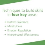The Dialectical Behavior Therapy Skills Workbook: Practical DBT Exercises for Learning Mindfulness, Interpersonal Effectiveness, Emotion Regulation, ... (A New Harbinger Self-Help Workbook) - Image 4