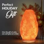 WBM Salt Lamp – USB Himalayan Salt Lamp with Touch Dimmer Control | Wooden Base | LED Bulb | 5-7lbs - Image 7