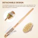 Dry Brushing Body Brush - Natural Boar Bristle Body Brush Set with Face Brush, Wooden Long Handle Scrub Body Brush for Cellulite Treatment, Lymphatic Drainage, Detachable, 3 Brush Heads - Image 5