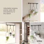 Umbra Triflora Hanging Planter for Window, Indoor Herb Garden, Set of 3, White/Black - Image 4