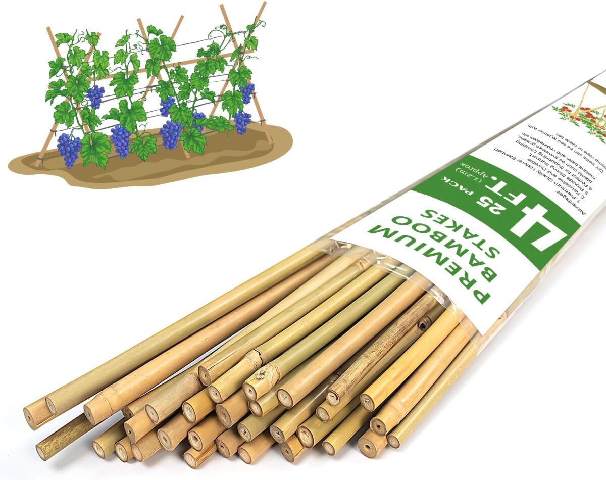 Plant Stakes,4FT Longer Sturdy Natural Bamboo Garden Stakes,GAGINANG 25Pcs Bamboo Sticks Trellis Support for Tomato, Vegetables Beans Trees Climbing Plants - Image 1