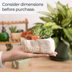 T4U 5.5 Inch Ceramic Succulent Pot Planter with Drainage Hole Set of 3, Stone Shape Rectangle Window Box Cactus Plant Containers Gift for Mom Sister Best for Home Office Table Desk Decoration - Image 4