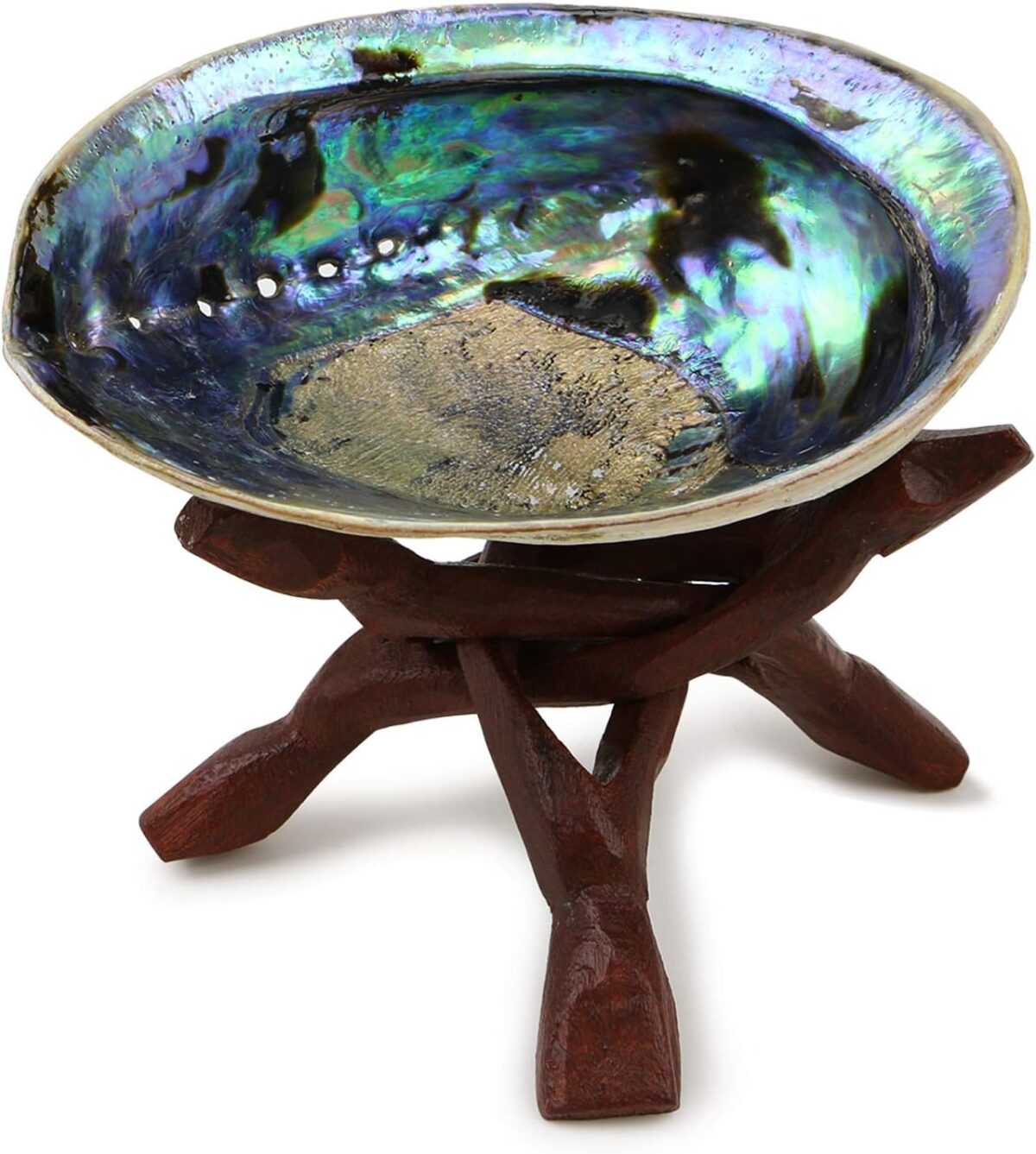 Ocean Shell Studios 5-6 inches Premium Natural Abalone (Pāua) Shell with Wooden Stand for Smudging, Cleansing Home, Meditation, Shell Crafts,Incense Holder, Home Décor, 100% Natural, Sustainable. - Image 1