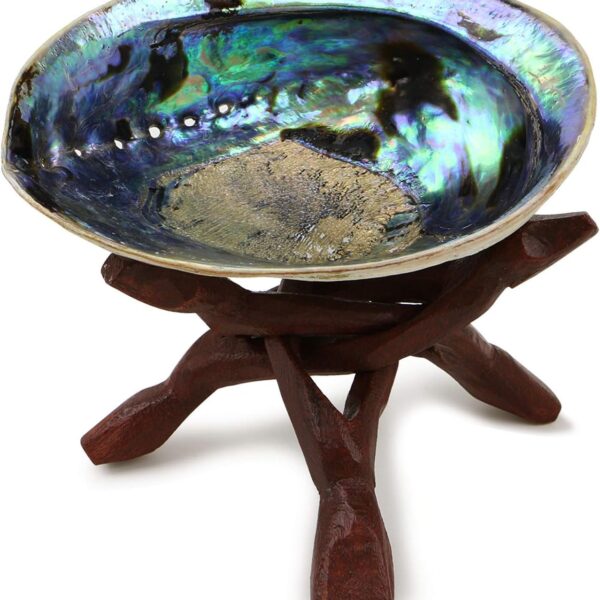 Ocean Shell Studios 5-6 inches Premium Natural Abalone (Pāua) Shell with Wooden Stand for Smudging, Cleansing Home, Meditation, Shell Crafts,Incense Holder, Home Décor, 100% Natural, Sustainable.