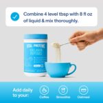 Vital Proteins Collagen Peptides Powder - Grass Fed Collagen Peptides for Hair, Nail, Skin, Bone & Joint Health, Unflavored, 9.33oz - Image 4