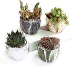 SE SUN-E Sun-E Modern Style Marbling Ceramic Flower Pot Succulent/Cactus Planter Pots Container Bonsai Planters with Hole 3.35 Inch Gift Idea(4 in Set) Plants Not Included - Image 2