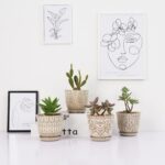 Gepege Succulent Pots, 4 Inch Small Indoor Ceramic Planter Pot with Drainage Holes and Saucers for Plants- Creamy White - Set of 4 - Image 5