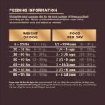 Wellness CORE+ (Formerly RawRev) Grain Free Ocean Whitefish, Herring Meal & Salmon Meal Recipe, 10 Pound Bag - Image 9