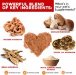 Critical Immune Defense for Dogs & Cats; Supports Normal Cell Growth - Turkey Tail, Reishi, Shiitake and Maitake Mushroom Formula with Patented White Turmeric Root Extract - 30-Day Supply - Image 2