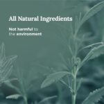 Magnificent 101 Long Lasting Pure White Sage Candle - 6 Oz - 35 Hour Burn Time | Organic, All Natural, Soy Candle to Cleanse Your Home & Calm, Soothe, Use with Sage Smudge Kit - Image 3