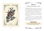 The Green Witch's Oracle Deck: Embrace the Wisdom and Insight of Natural Magic (Green Witch Witchcraft Series) - Image 7