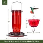 Kingsyard Glass Hummingbird Feeder for Outdoors Wild Bird Feeder with 6 Feeding Ports Hanging for Garden Yard, Red (Ant Moat Included) - Image 7