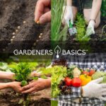 Gardeners Basics Survival Vegetable Seeds Garden Kit Over 16,000 Seeds Non-GMO and Heirloom, Great for Emergency Bugout Survival Gear 35 Varieties Seeds for Planting Vegetables 35 Free Plant Markers - Image 7