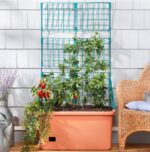 Self Watering Vegetable Planter Box with Trellis on Wheels - Mobile Garden - Image 2
