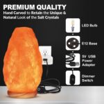 WBM Salt Lamp – USB Himalayan Salt Lamp with Touch Dimmer Control | Wooden Base | LED Bulb | 5-7lbs - Image 3