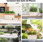VIVOSUN Self-Watering Planters, 4-Pack 10.5 Inch Compact Rectangular Window Herb Planter Box with 10 PCS Plant Labels, Plant Container for Basil, Flowers, Succulents, Indoor & Outdoor - Image 8