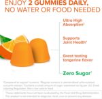 Qunol Zero Sugar Turmeric Gummies, Gummy with 500mg Turmeric Curcumin, Joint Support Supplement, Ultra High Absorption Tumeric Curcumin, Vegetarian, Gluten Free, 90 Count - Image 2