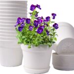 Homenote Pots for Plants, 15 Pack 6 Inch Plastic Planters with Multiple Drainage Holes and Trays,Plant Pots for All Home Garden Flowers Succulents (White)