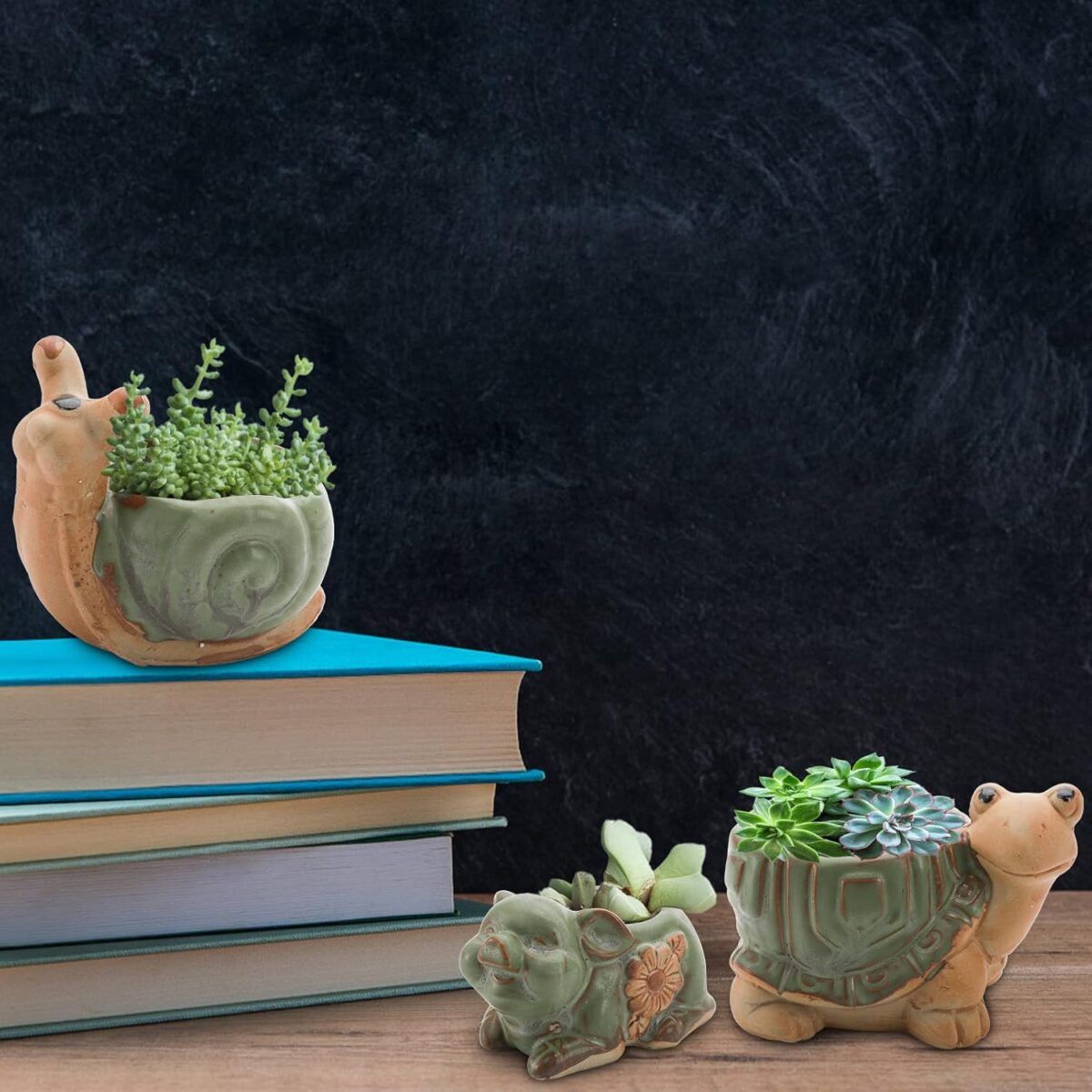 Okllen 6 Pack Mini Animal Ceramic Succulent Planter Set, Cute Elephant, Turtle, Owl, Snail, Succulent Pots with Drainage Hole, Ideal for Bonsai, Indoor, Outdoor - Image 5