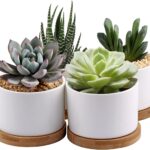 ZOUTOG Succulent Planter, White Mini 3.15 inch Ceramic Flower Planter Pot with Bamboo Tray, Pack of 4 - Plants Not Included