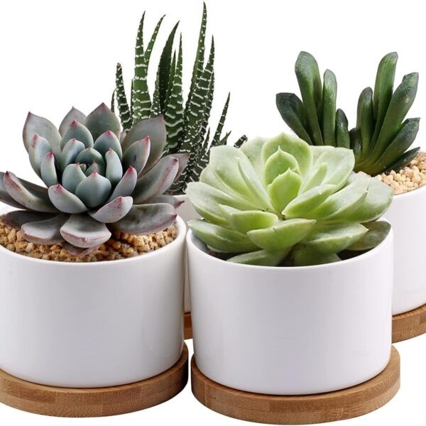 ZOUTOG Succulent Planter, White Mini 3.15 inch Ceramic Flower Planter Pot with Bamboo Tray, Pack of 4 - Plants Not Included