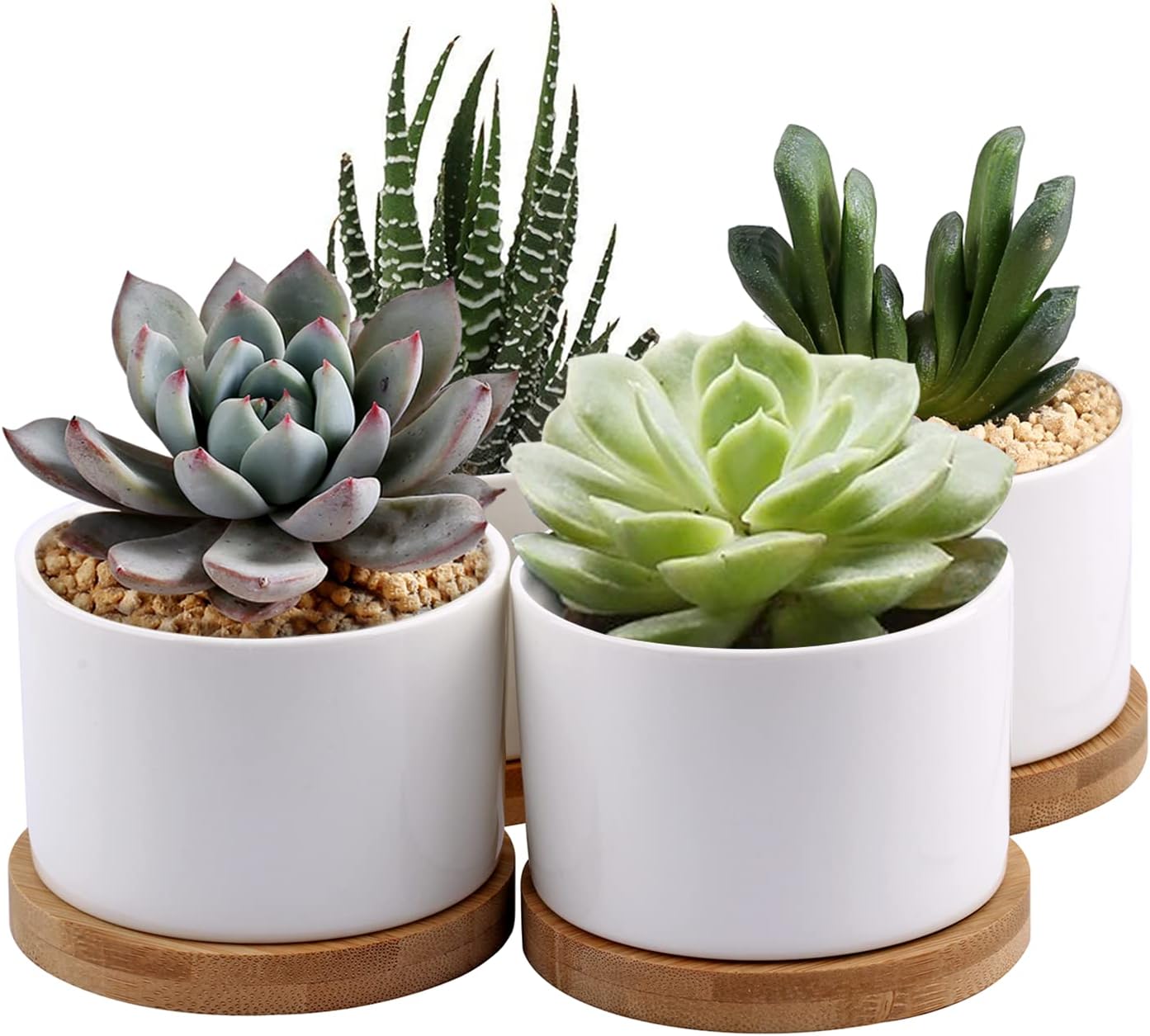 71F2JECG2cL._AC_SL1500_.jpg ZOUTOG Succulent Planter, White Mini 3.15 inch Ceramic Flower Planter Pot with Bamboo Tray, Pack of 4 - Plants Not Included - Image 1