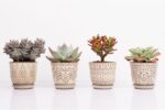 Gepege Succulent Pots, 4 Inch Small Indoor Ceramic Planter Pot with Drainage Holes and Saucers for Plants- Creamy White - Set of 4 - Image 4