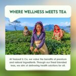 Honey Lemon Green Tea Bags (50 Count), Green Tea with Chamomile, Lemon & Honey Extract, Caffeinated, Real and Natural Green Tea, Blended with Fresh Herbs and Spices, Gluten Free - Image 5