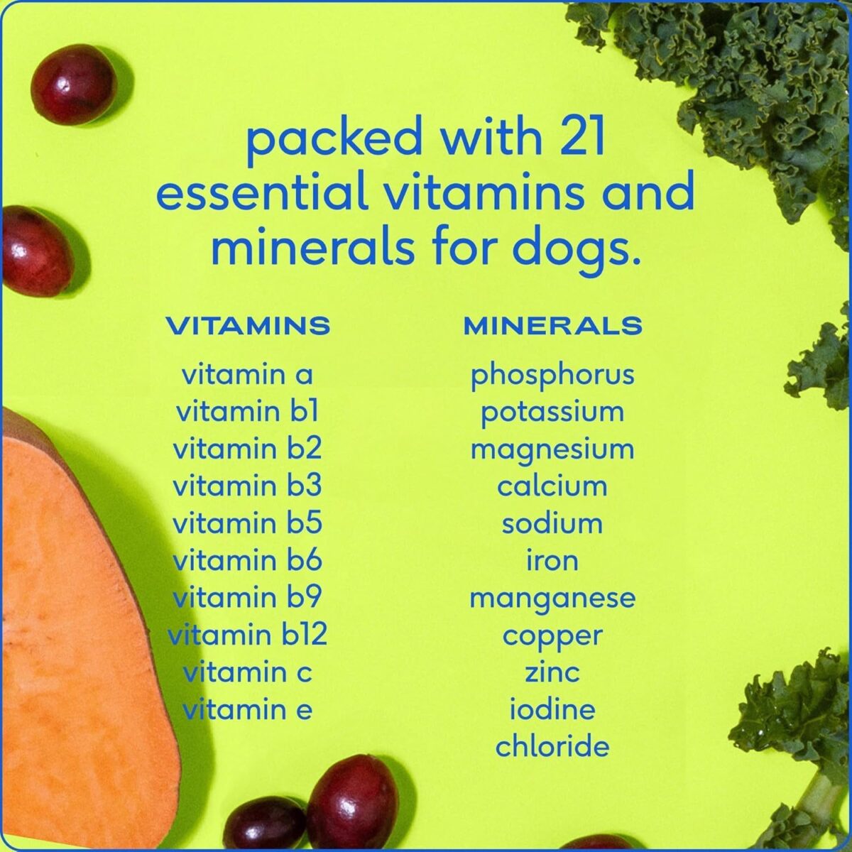Native Pet Dog Vitamins & Supplements - 60 Scoops - 11-in-1 Multivitamin for Dogs with 21 Supplements & Vitamins – Nutritious Food Topper Powder - Pet Health & Puppy Essentials - 60 Scoops - Image 3