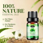 Essential Oils Set, Aromatherapy Essential Oil Kit for Diffuser, Humidifier, Massage, Skin Care (32 x 5ml) - Eucalyptus, Lavender, Tea Tree, Peppermint, Lemongrass, Frankincense, Cinnamon, Sandalwood - Image 8