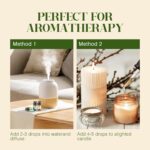 Essential Oils Set, Aromatherapy Essential Oil Kit for Diffuser, Humidifier, Massage, Skin Care (32 x 5ml) - Eucalyptus, Lavender, Tea Tree, Peppermint, Lemongrass, Frankincense, Cinnamon, Sandalwood - Image 9