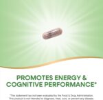 Nature's Way Rhodiola Premium Extract, 250 mg per serving, Supports Energy & Cognitive Performance*, Adaptogenic Herb*, Non-GMO Project Verified, Vegan, Gluten Free, 60 Capsules (Packaging May Vary) - Image 4