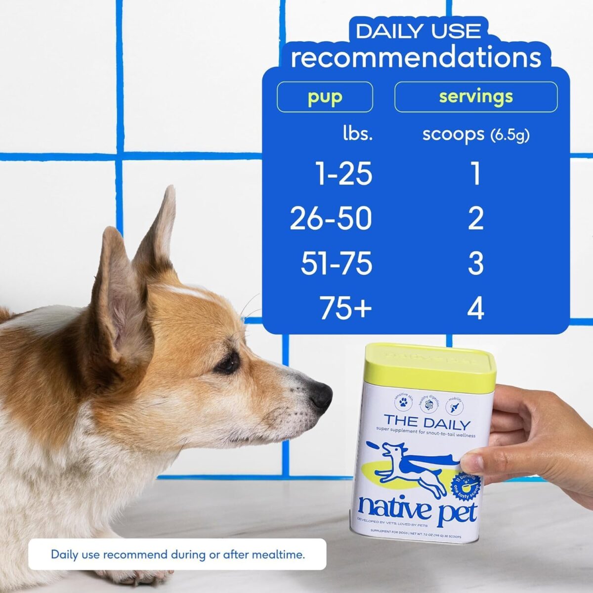 Native Pet Dog Vitamins & Supplements - 60 Scoops - 11-in-1 Multivitamin for Dogs with 21 Supplements & Vitamins – Nutritious Food Topper Powder - Pet Health & Puppy Essentials - 60 Scoops - Image 4
