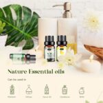 Essential Oils Set, Aromatherapy Essential Oil Kit for Diffuser, Humidifier, Massage, Skin Care (32 x 5ml) - Eucalyptus, Lavender, Tea Tree, Peppermint, Lemongrass, Frankincense, Cinnamon, Sandalwood - Image 3