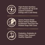 Wellness CORE+ (Formerly RawRev) Grain Free Ocean Whitefish, Herring Meal & Salmon Meal Recipe, 10 Pound Bag - Image 6