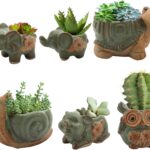 Okllen 6 Pack Mini Animal Ceramic Succulent Planter Set, Cute Elephant, Turtle, Owl, Snail, Succulent Pots with Drainage Hole, Ideal for Bonsai, Indoor, Outdoor