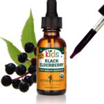 Herb Pharm Kids Certified-Organic Alcohol-Free Black Elderberry Glycerite Liquid Extract, 1 Ounce (GLKELD01)