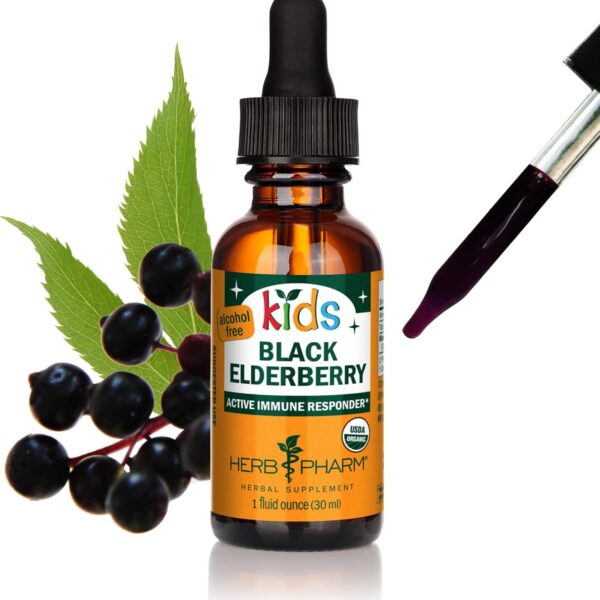 Herb Pharm Kids Certified-Organic Alcohol-Free Black Elderberry Glycerite Liquid Extract, 1 Ounce (GLKELD01)