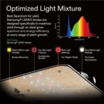 VIVOSUN Grow Tent Complete System, 2 x 2 ft. Grow Tent Kit Complete with VS1000 Led Grow Light, 4 Inch 190CFM Inline Fan, Carbon Filter and 8ft Ducting Combo, 24" x 24" x 48" - Image 2