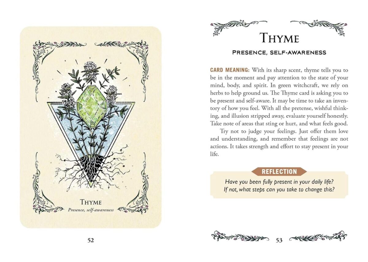 The Green Witch's Oracle Deck: Embrace the Wisdom and Insight of Natural Magic (Green Witch Witchcraft Series) - Image 8