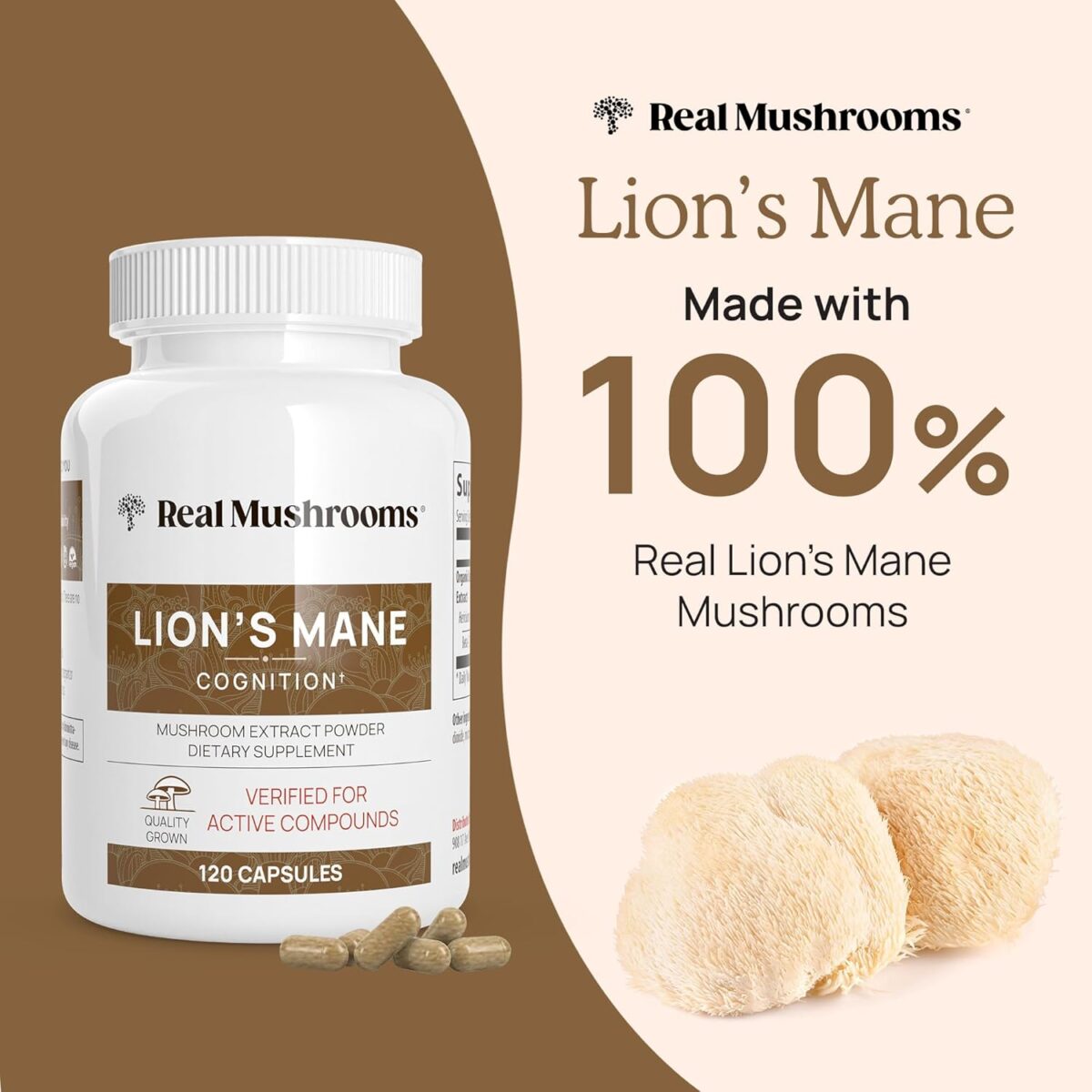 Lions Mane Mushroom Cognition Capsules (120 Capsules) Lions Mane Mushroom Powder Extract Capsules | Brain Supplement, Brain Vitamins, Focus Supplement - Image 2