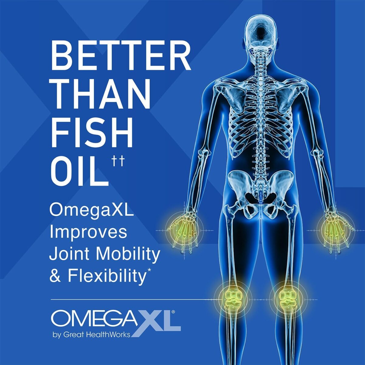 OmegaXL Joint Support Supplement, for Relief - Natural Muscle Support, Green Lipped Mussel Oil, Soft Gel Pills, Drug-Free, 60 Count - Image 4
