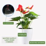 Dexceder 18x17 Self Watering Planter with Wheels Indoor Outdoor, Inner Pot Design, Thickened Large Floor Standing Flower Plant Pot with Water Level Indicator (White Matte) - Image 5