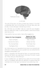 Break Free from Reactive Parenting: Gentle-Parenting Tips, Self-Regulation Strategies, and Kid-Friendly Activities for Creating a Calm and Happy Home - Image 7