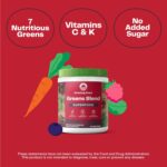 Amazing Grass Greens Superfood Powder: Greens Powder with Digestive Enzymes & Probiotics, Organic Spirulina, Chlorella, and Beet Root Powder, Berry, 30 Servings (Packaging May Vary) - Image 2