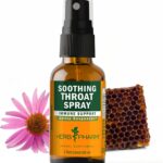 Herb Pharm Soothing Throat Spray Herbal Formula with Echinacea and Propolis, 1 Fl Oz (Pack of 1)