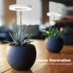 LORDEM Grow Light, Full Spectrum LED Plant Light for Indoor Plants, Height Adjustable Growing Lamp with Auto On/Off Timer 4/8/12H, 4 Dimmable Brightness, Ideal for Small Plants, 2 Packs - Image 2