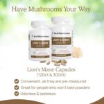 Lions Mane Mushroom Cognition Capsules (120 Capsules) Lions Mane Mushroom Powder Extract Capsules | Brain Supplement, Brain Vitamins, Focus Supplement - Image 5