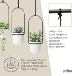 Umbra Triflora Hanging Planter for Window, Indoor Herb Garden, Set of 3, White/Black - Image 5